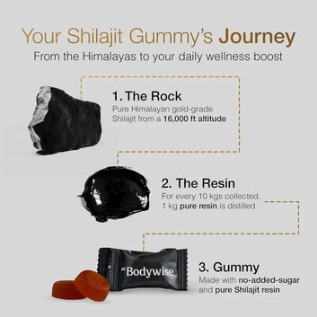 Be Bodywise Pure Himalayan Shilajit Gold Gummies 3000mg